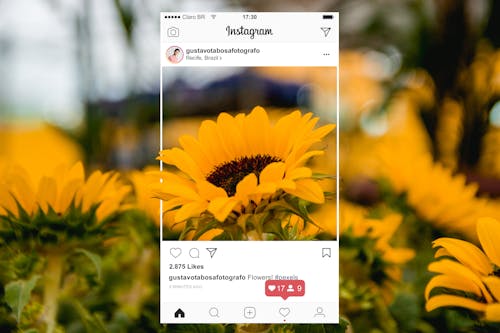 Fotobanka s bezplatnými fotkami na tému Instagram, iPhone, kvet ovocného stromu