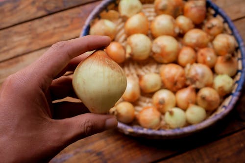 A person holding a bunch of onions in their hand
