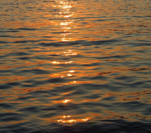 Foto profissional grátis de alvorecer, cair da noite, dourado