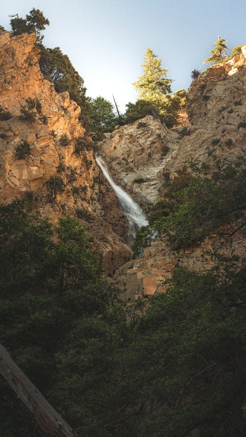 Immagine gratuita di acqua corrente, alberi, cascata