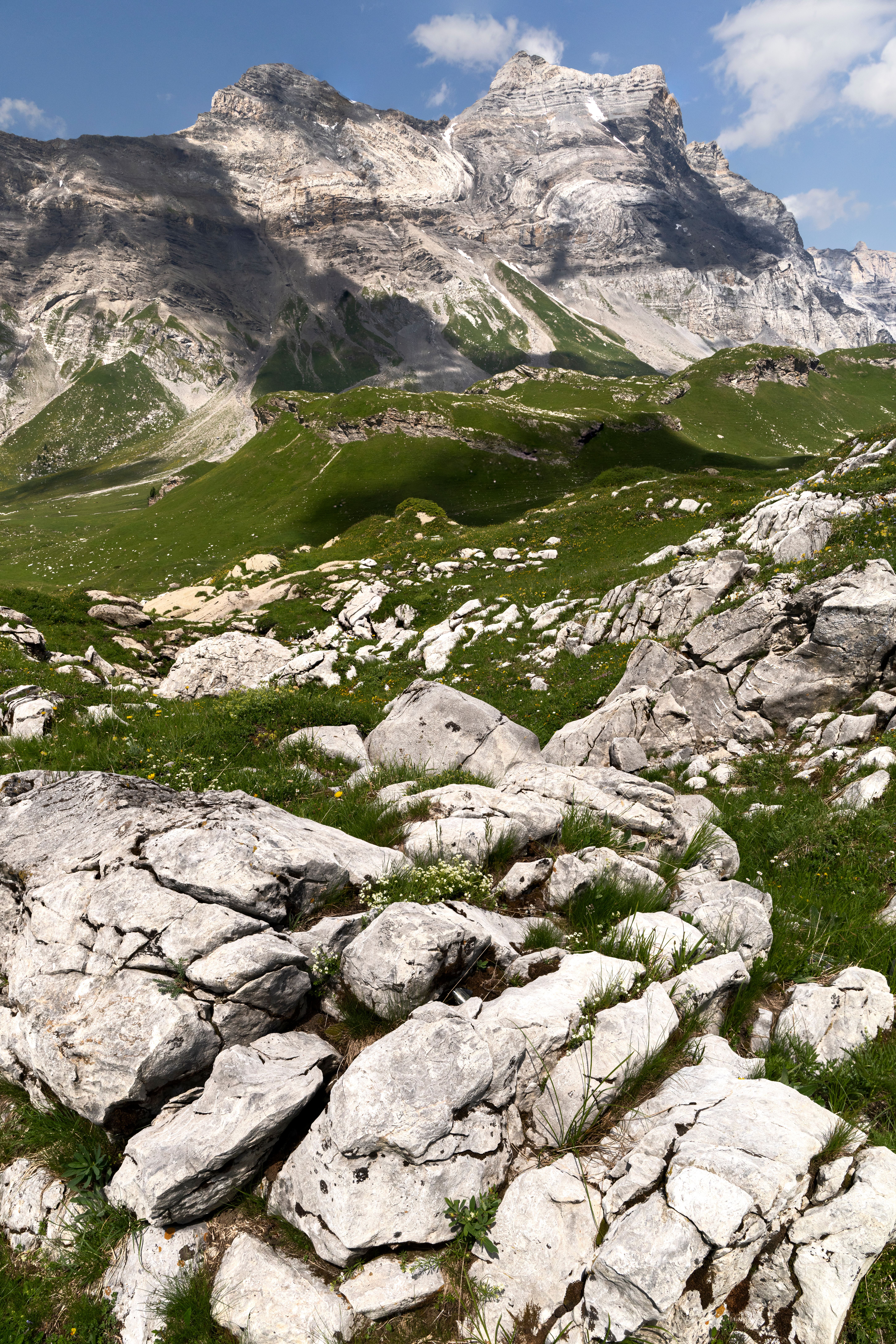 Grass Growing Among the Rocks on the Mountainside · Free Stock Photo