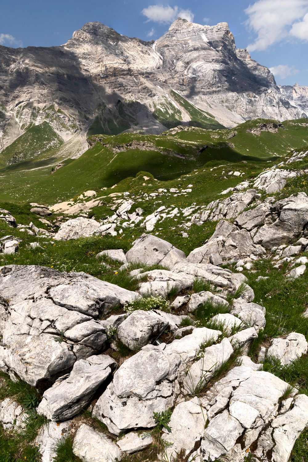 Mountainside Rocks Grass Growing Among the Rocks on the Mountainside · Free Stock Photo