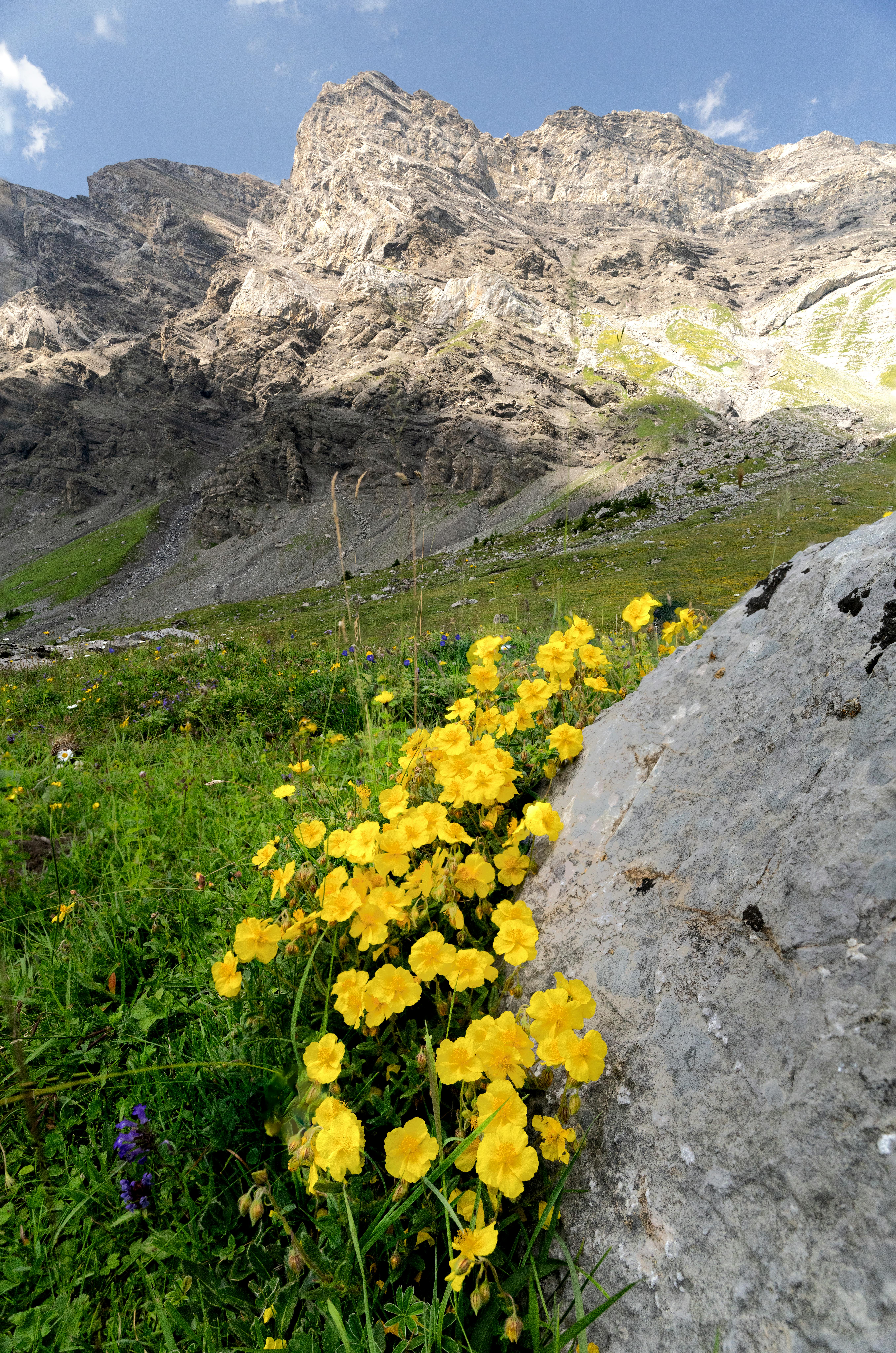 Backyard Bliss On A Budget: Frugal Outdoor Living Ideas Backyard Bliss On A Budget: Frugal Outdoor Living Ideas