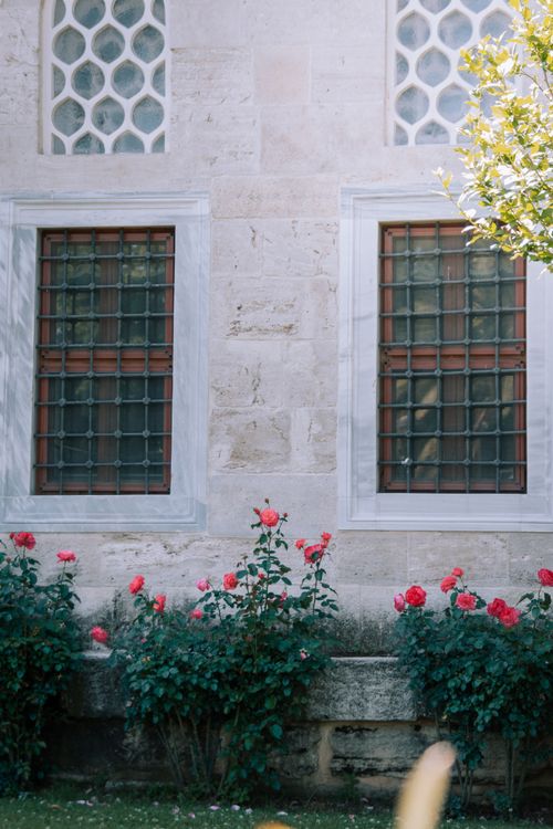 Free Vibrant pink roses flourish against a historic stone building with barred windows, capturing serene beauty. Stock Photo