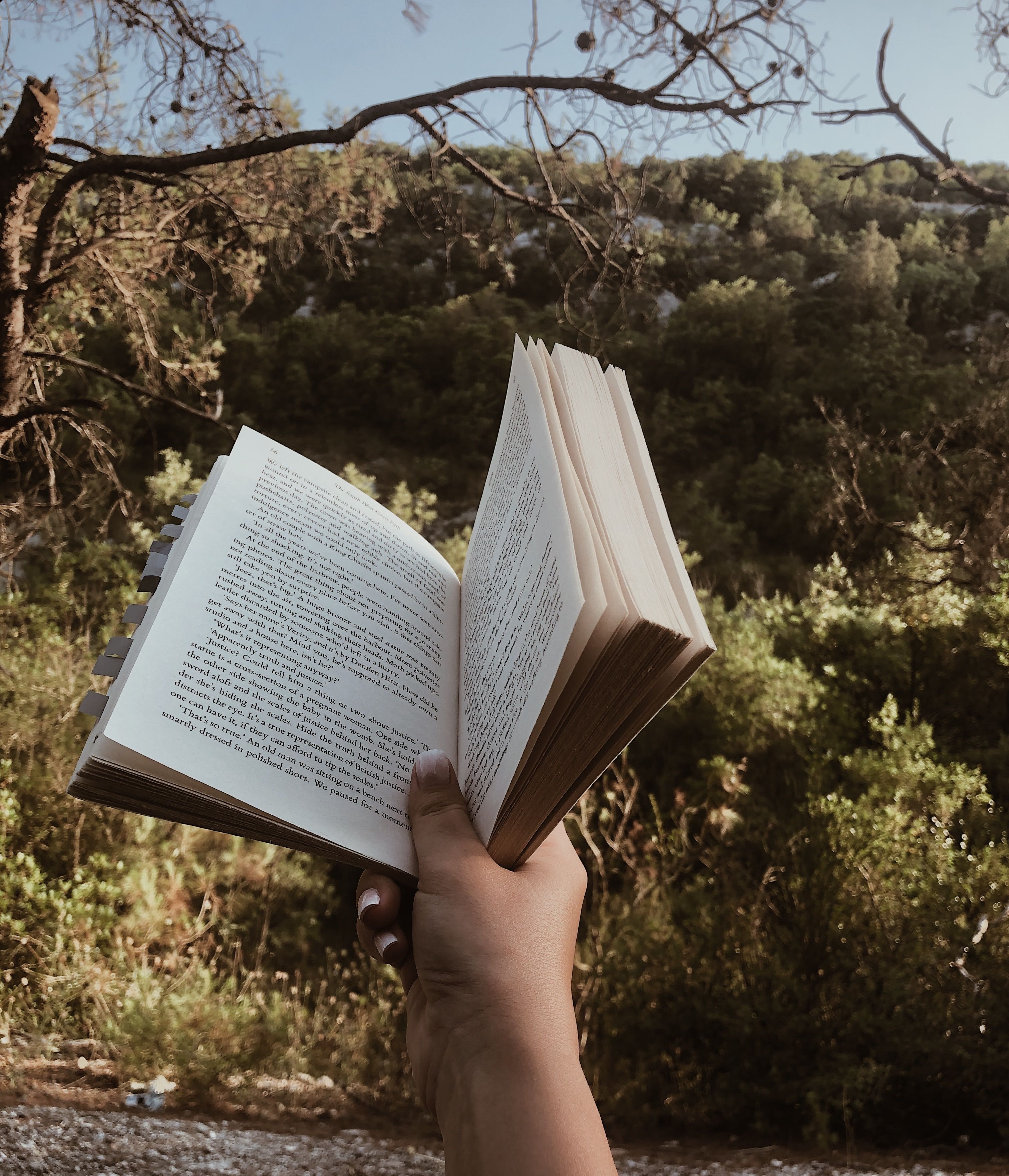 hands holding open book