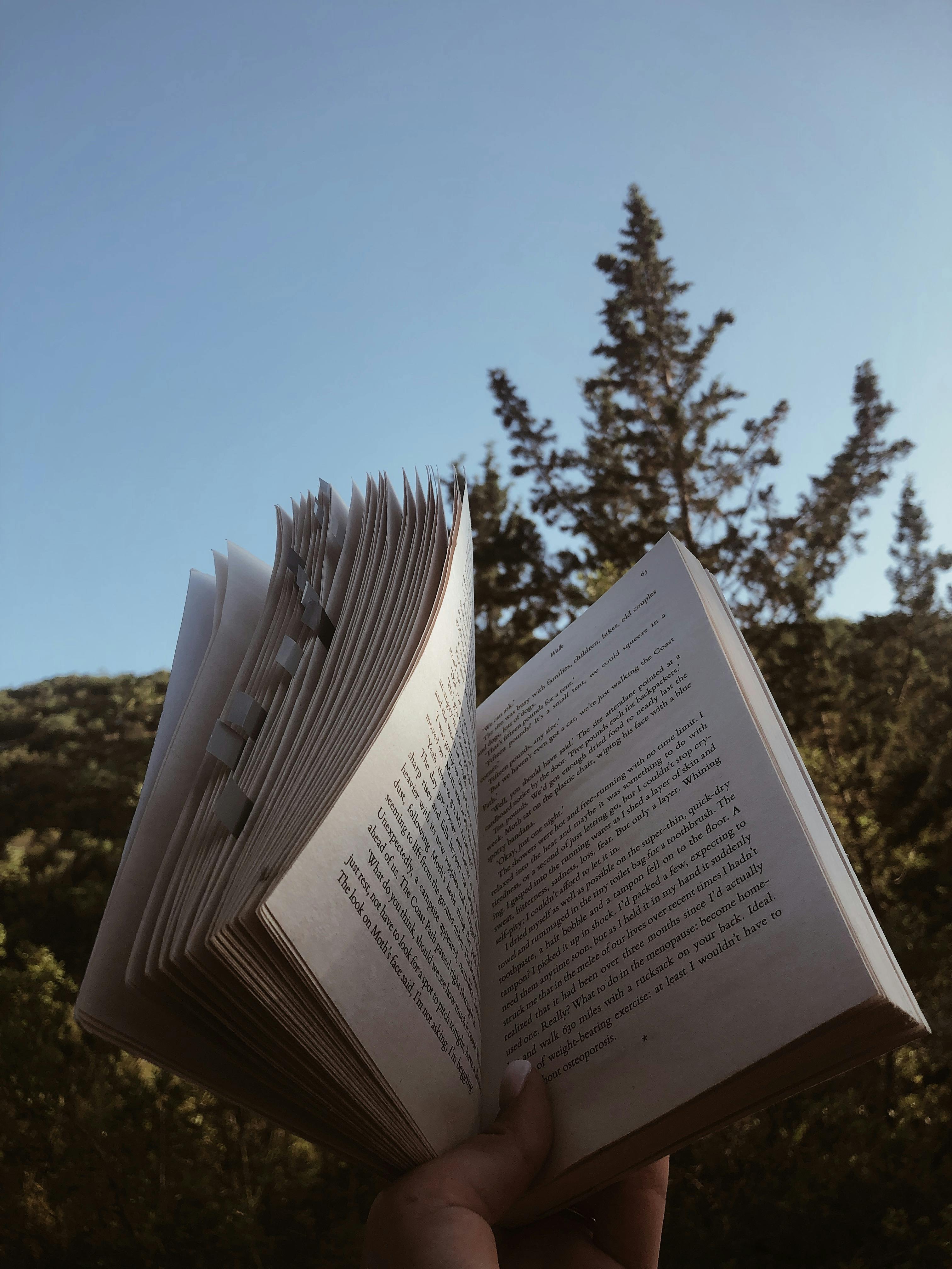 Pioneer Book Photos, Download The BEST Free Pioneer Book Stock Photos