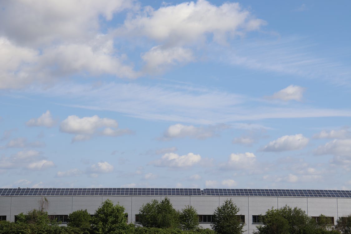 Field of Solar Panels on Rooftop