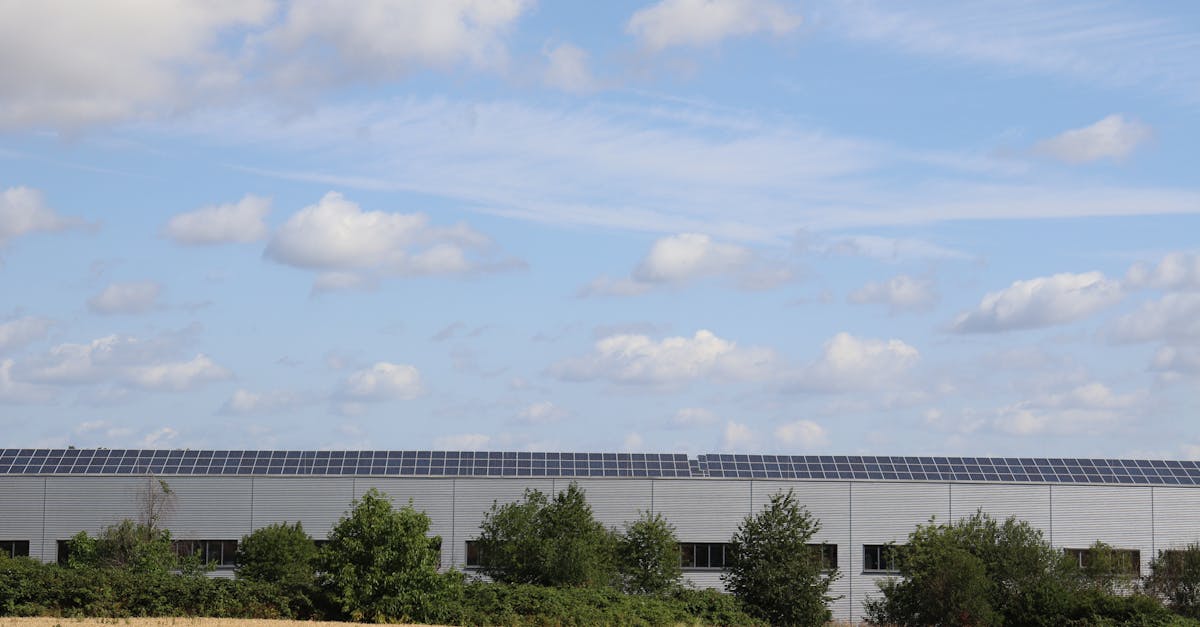 Beneficios Económicos de la Energía Solar para Empresas