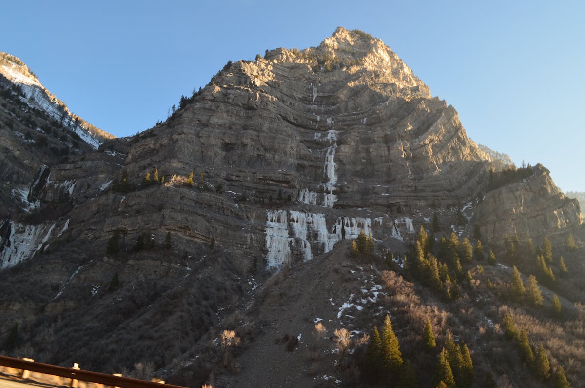 Greek yogurt in a bowl topped with berries and nuts