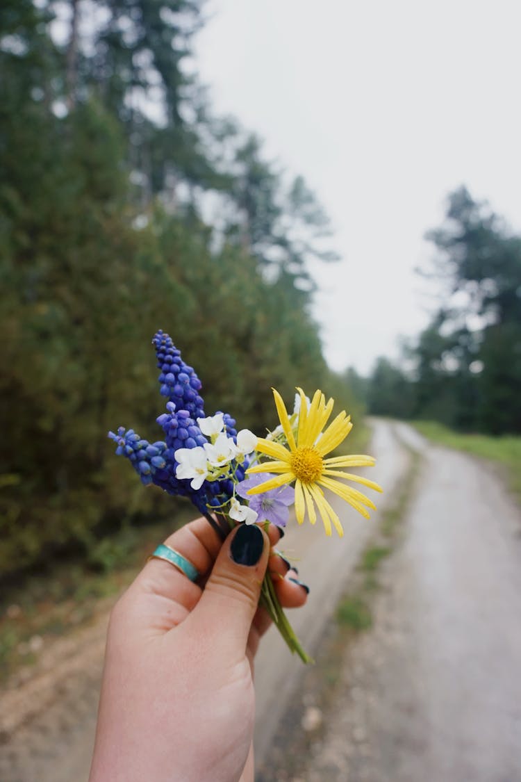 Woman Holding A Small Bunch Of Flowers