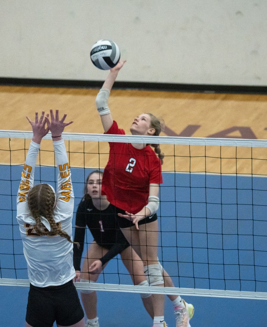 Volley Pro Court Kit in action