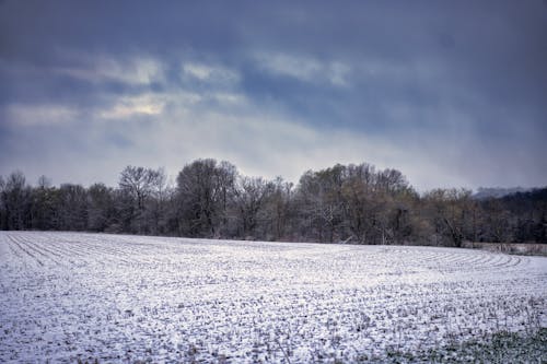 Snow on Rural Field in Winter