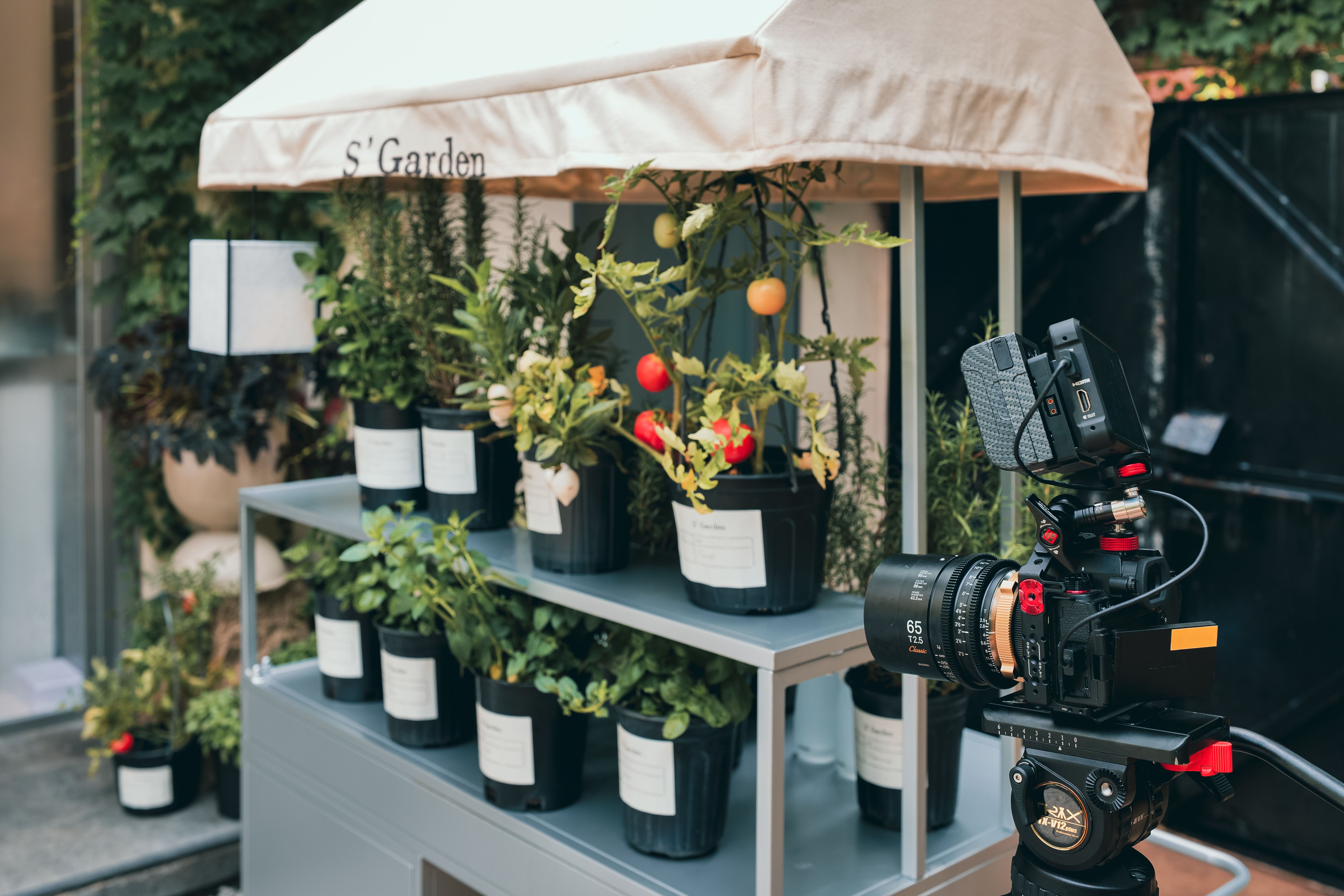 Camera near Stall with Plants · Free Stock Photo