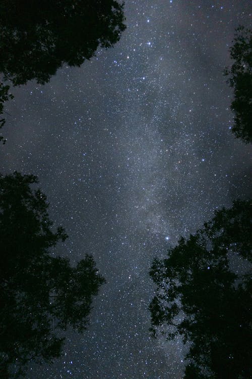 Stars on Clear, Night Sky