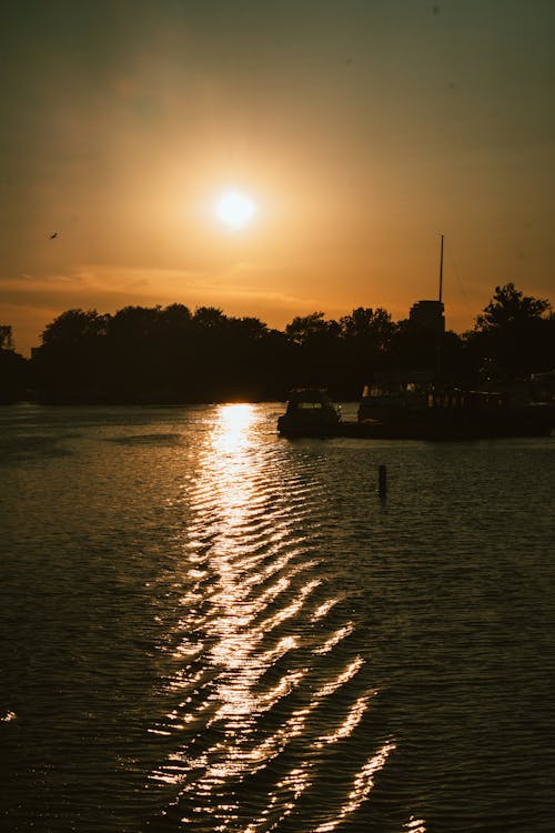 Silhouette of Toronto Skyline at Dusk