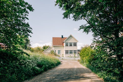 Wooden Rural House