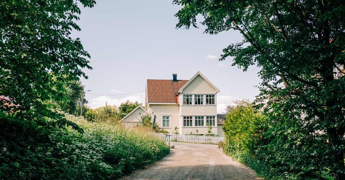A charming detached house nestled among lush greenery on a rural road in summer.