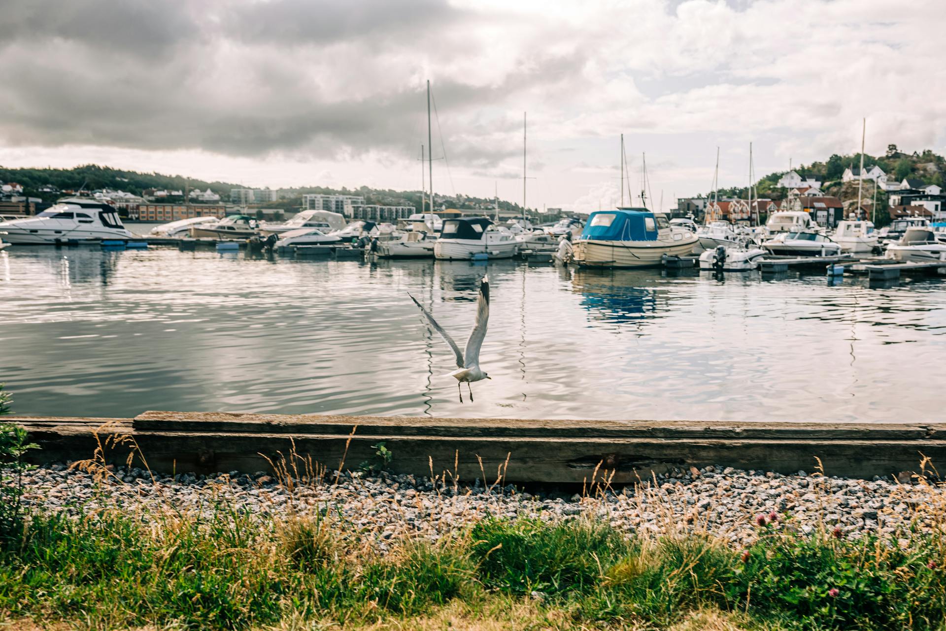 A scenic view of boats docked at Sandefjord harbor in Norway with a seagull flying above.