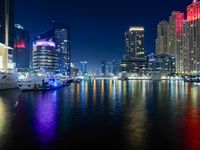 Dubai Skyline at Night