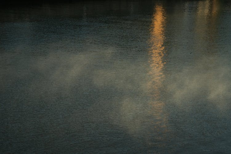 Reflection Of Light In A Water Surface 