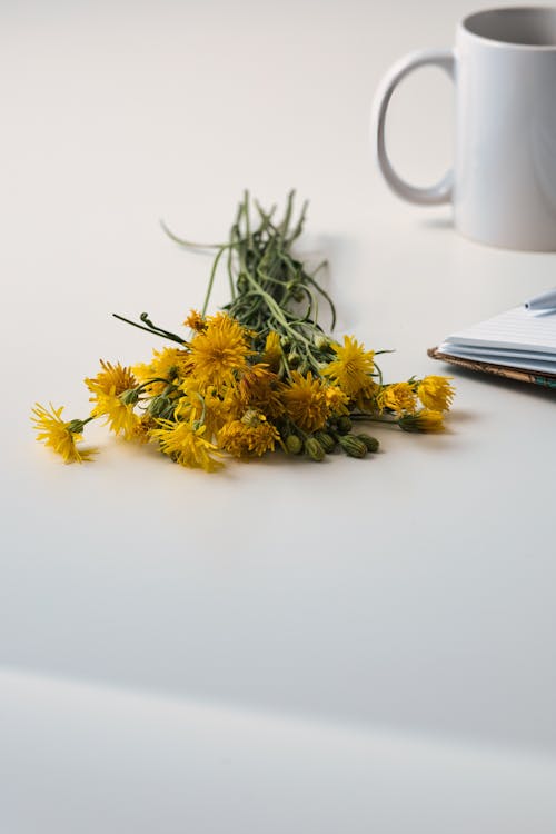 Foto profissional grátis de amarelo, embrulho, flores