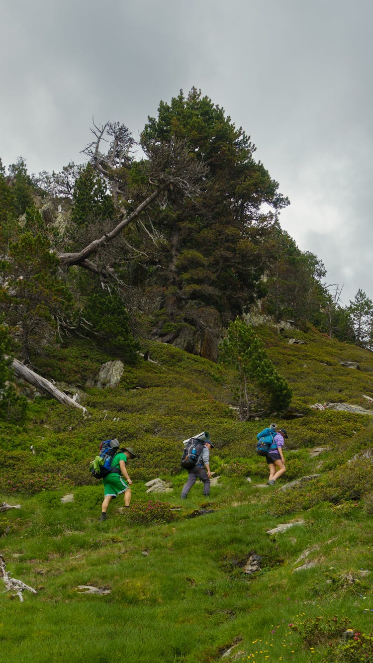 Group Of People Hiking In Mountains 