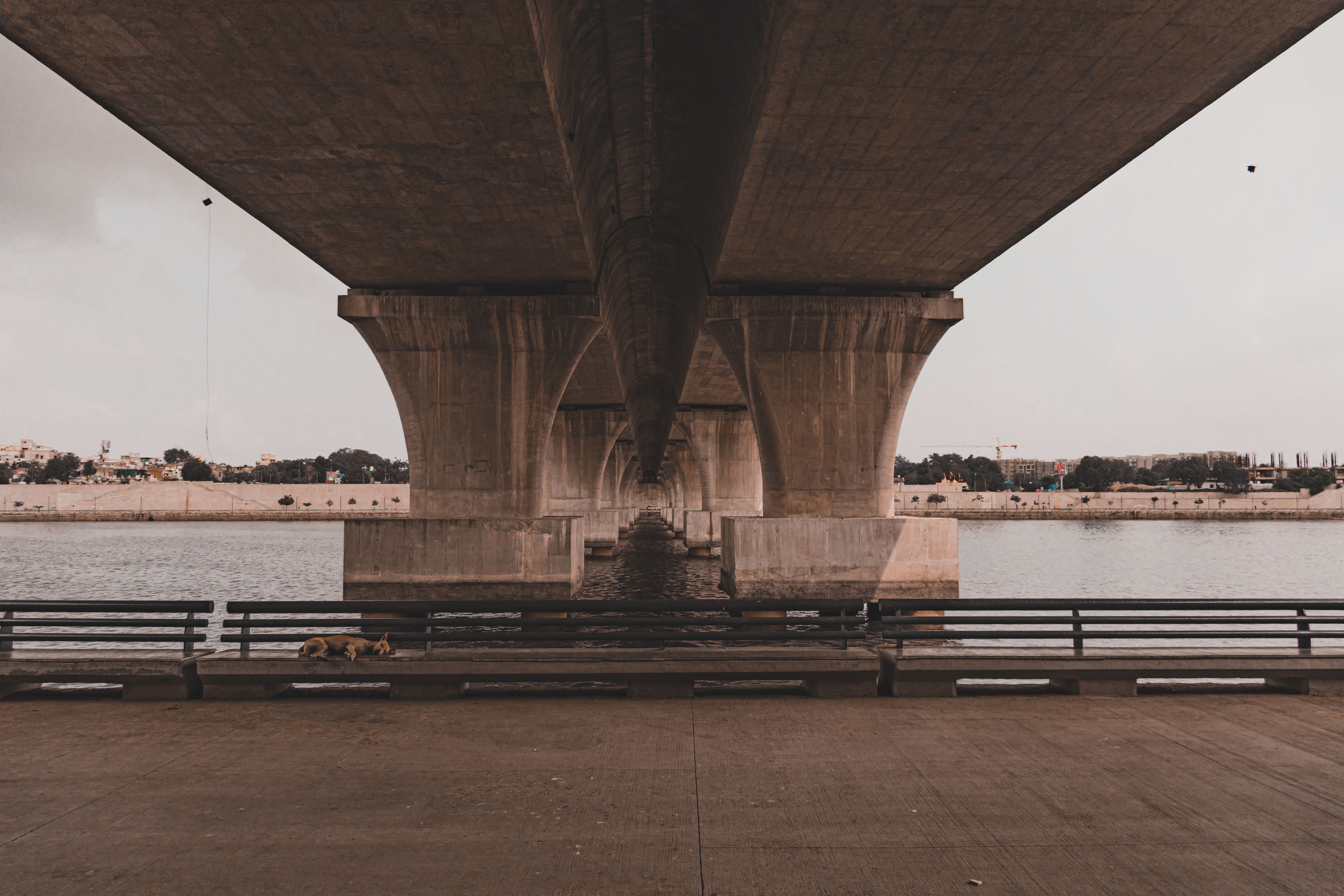 Concrete bridge structure spans river in Ahmedabad, India with urban backdrop. | Indian Village Development