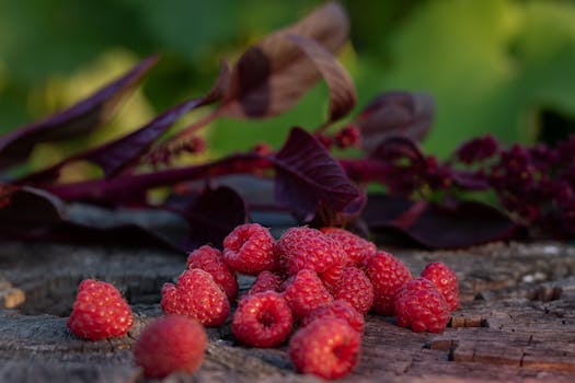 A close-up of ripe raspberries on a rustic wooden surface, captured outdoors.