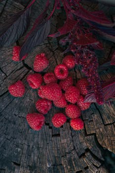 Vibrant raspberries placed on a rustic wooden background with deep red leaves.