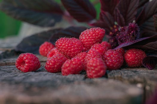 A close-up of fresh raspberries on a wooden surface with dark, rich leaves in the background.