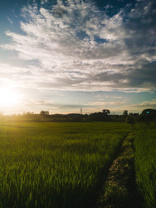 风景