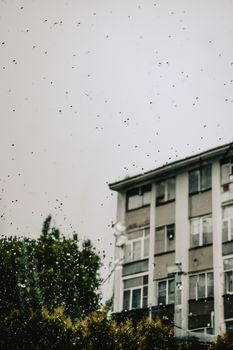 Exterior of an urban apartment building captured through rain-speckled glass on an overcast day.