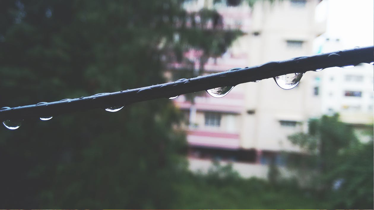 Free Selective Focus Photo of Water on Black Metal Rod Stock Photo
