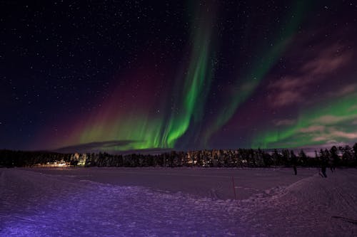 Photos gratuites de aurore boréale, aurore boréales, forêt