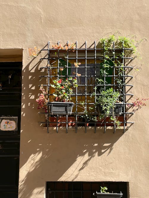 Bars on Window on Sunlit Wall