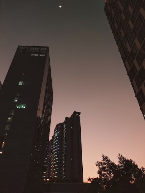 Low Angle Shot of Modern Apartment Buildings in City 