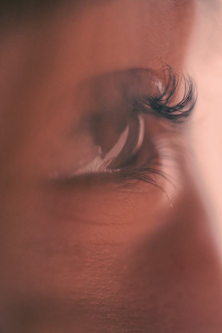 Close-up Of Woman Eye