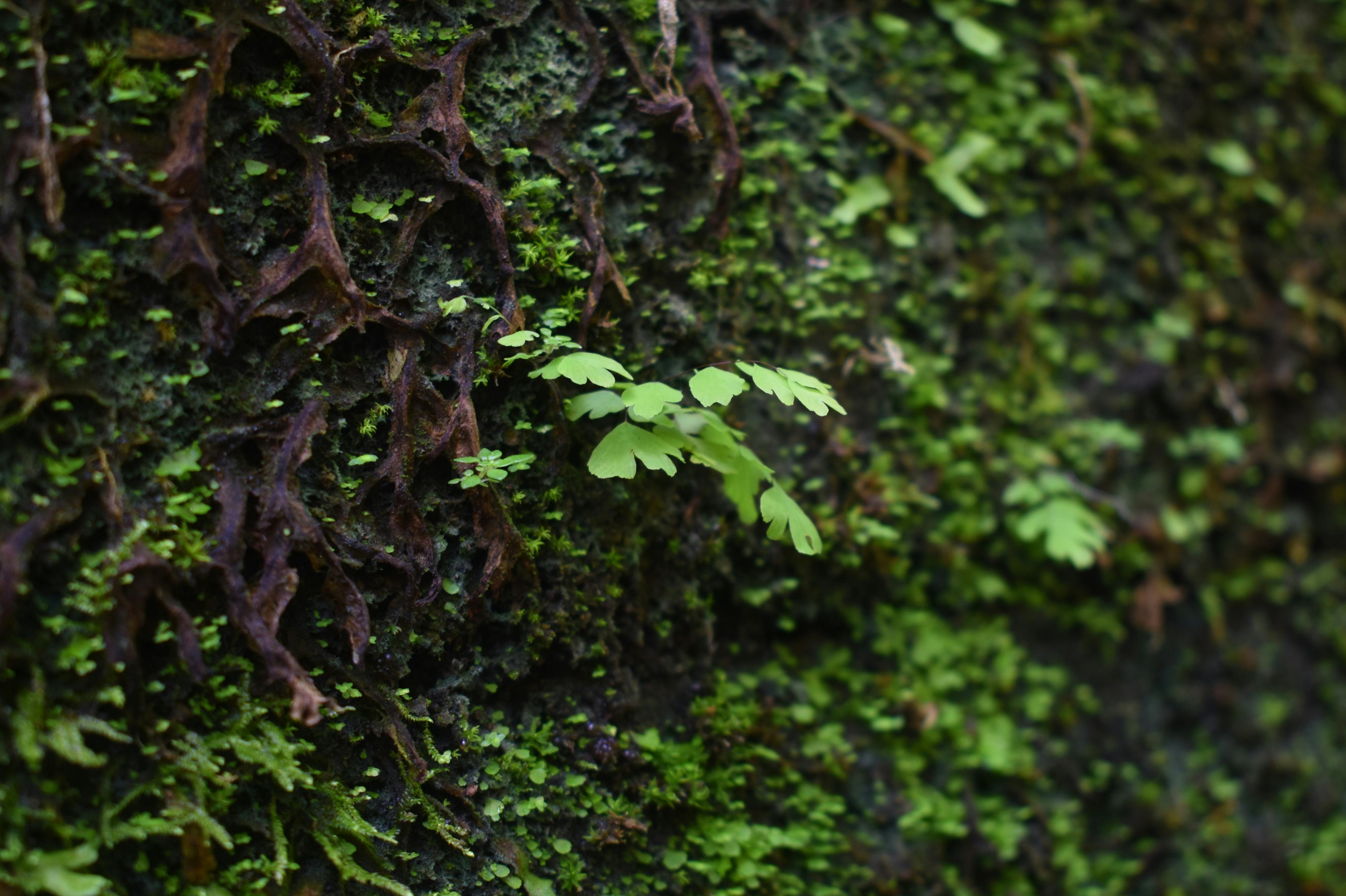 Football stadium under the lights with players on the pitch