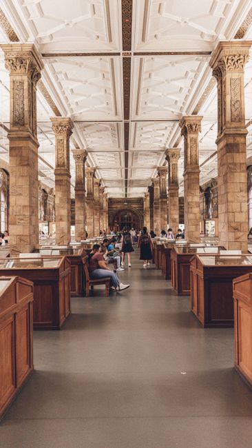 Elegant interior of the Natural History Museum in London, showcasing grand columns and visitors.