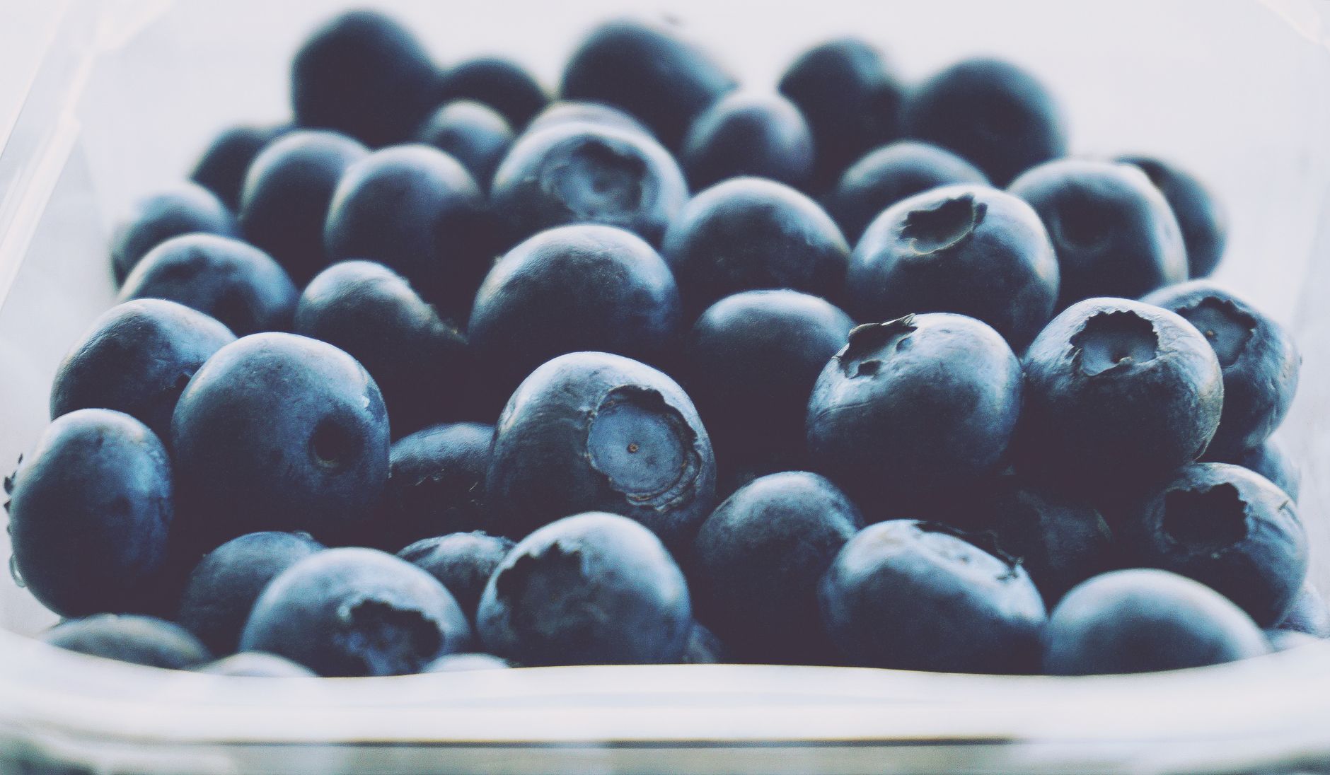 Close up of vegan blueberry crumble cheesecake with creamy filling and vibrant blueberry topping