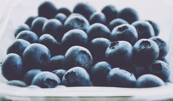 Close-up of fresh, juicy blueberries highlighting their natural texture and color.