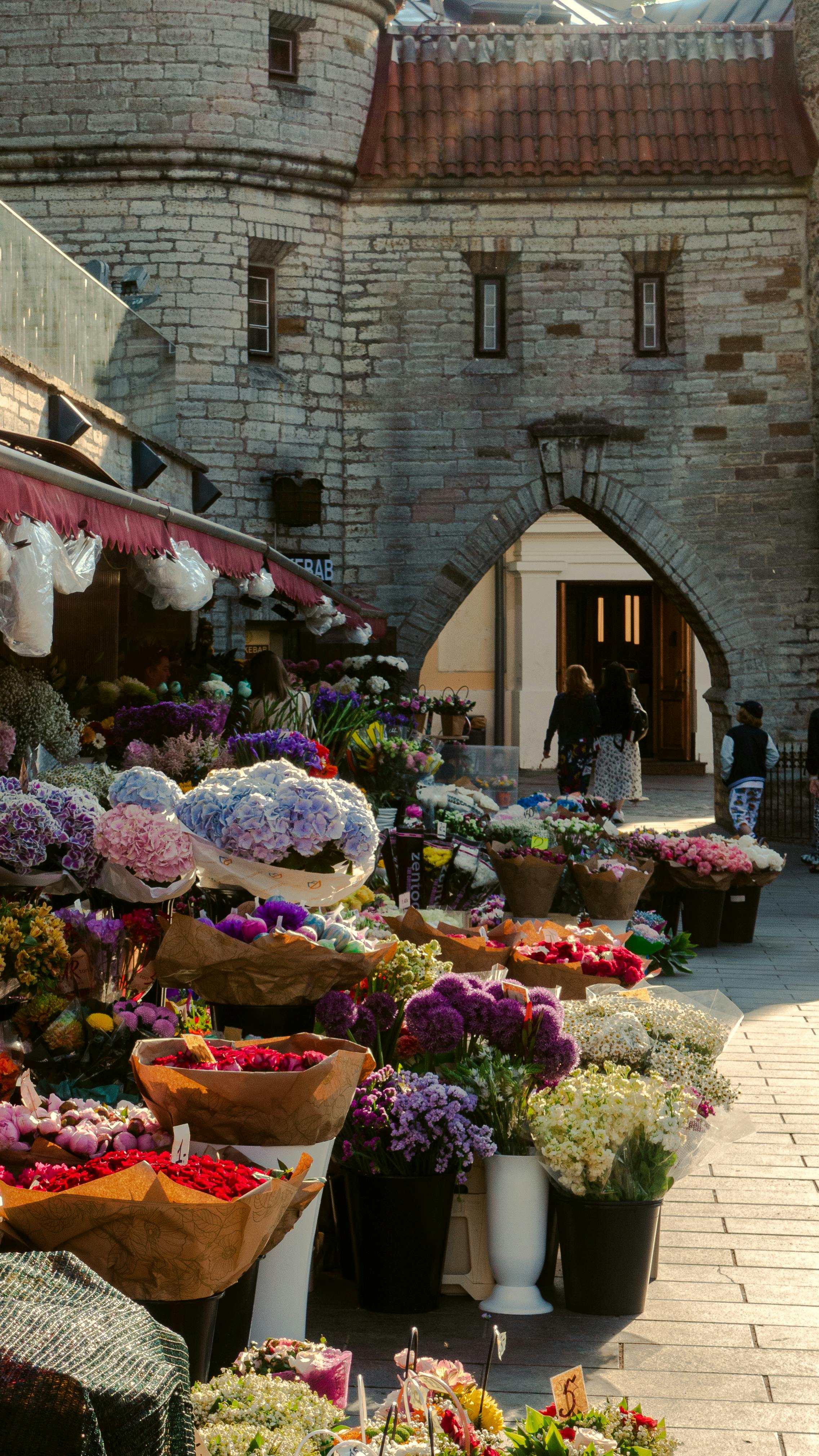 Portugal: What makes Portugal attractive for founders balancing lifestyle and market access