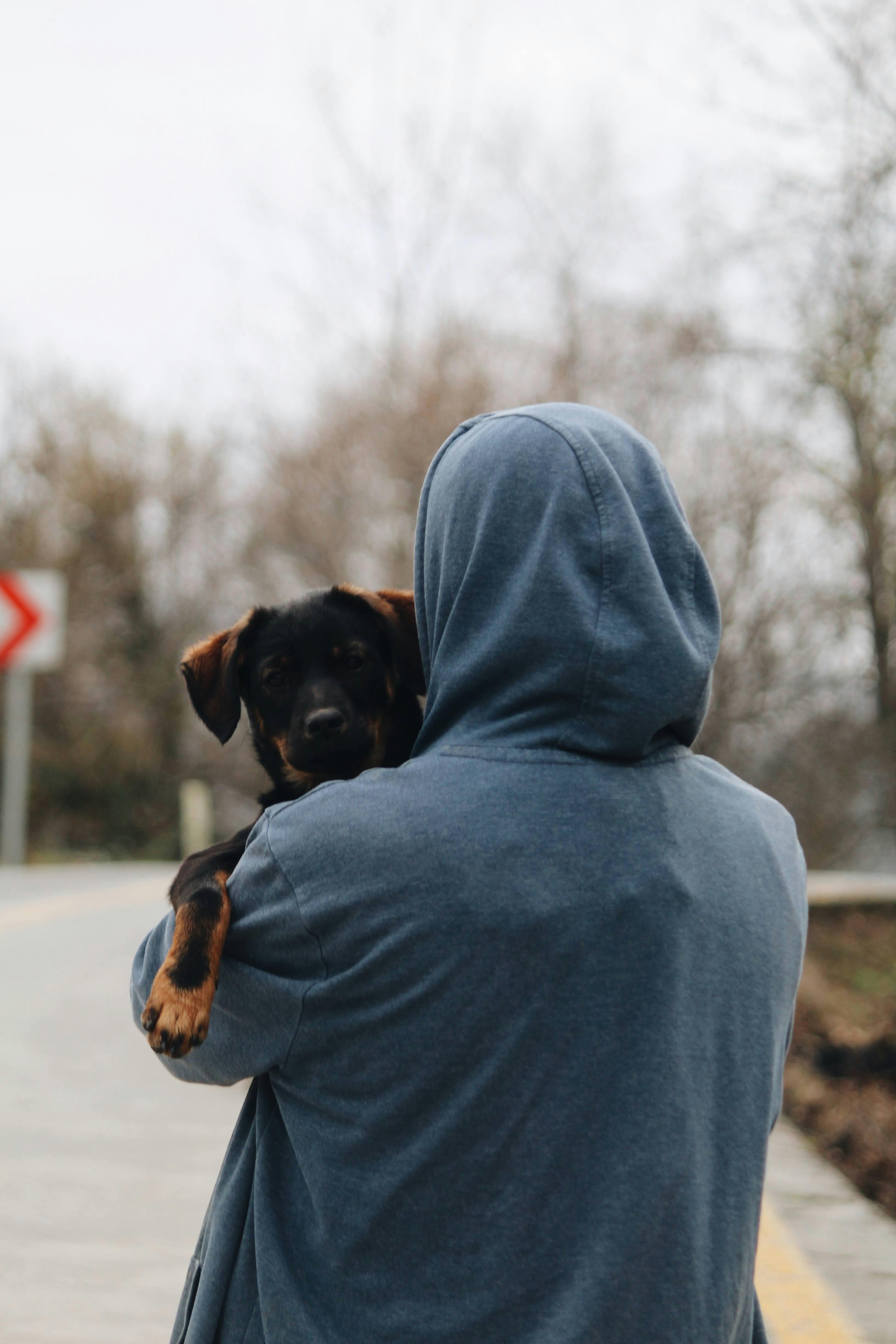 Back View of Person in Hoodie Standing with Dog · Free Stock Photo