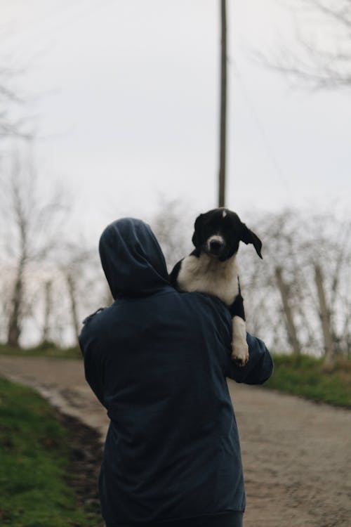 Person Carrying Dog