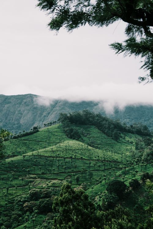 Free Captivating landscape of green hills and mist-covered mountains, ideal for nature lovers. Stock Photo