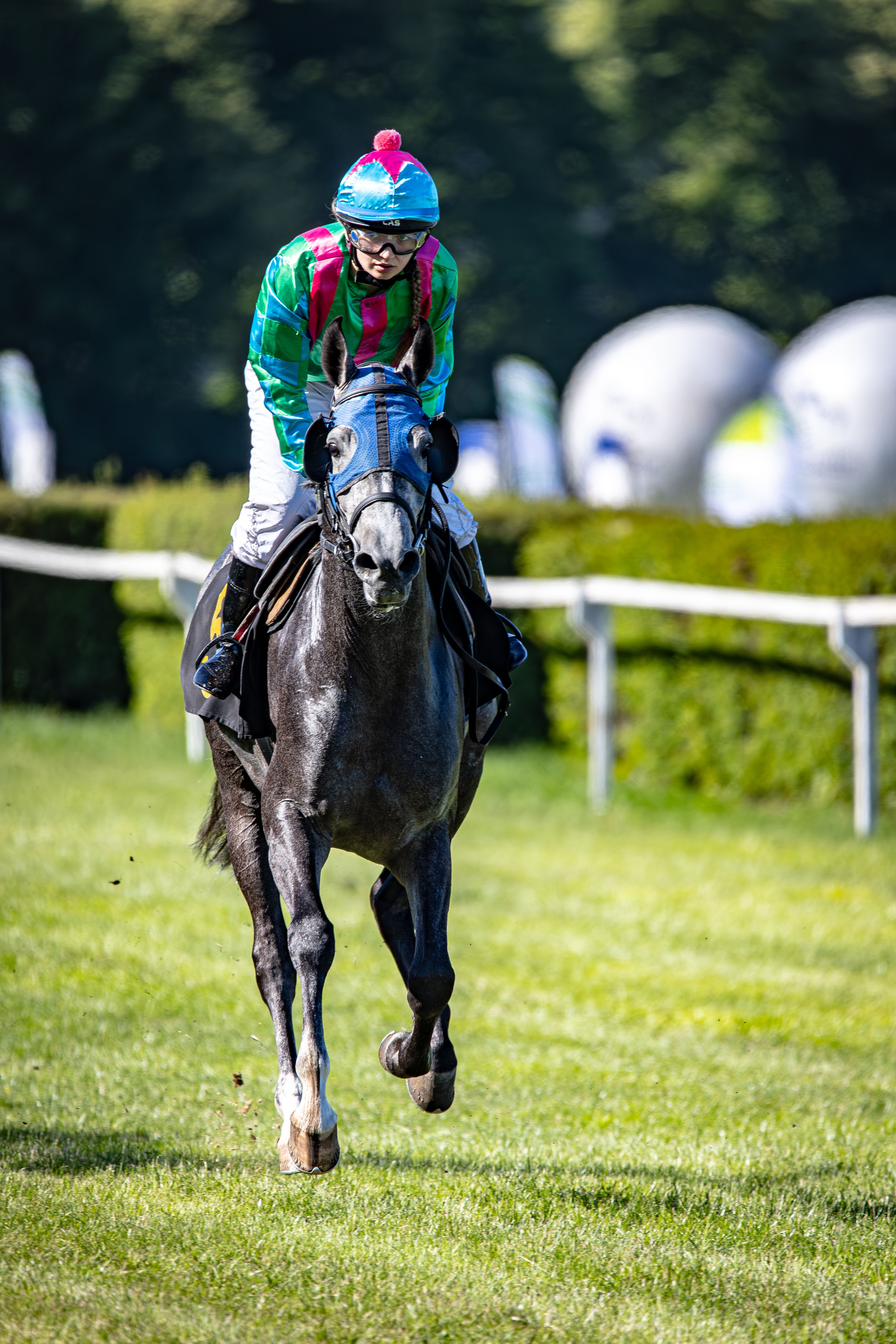 A jockey competes in a thrilling horse race on a vibrant green track, showcasing speed and skill