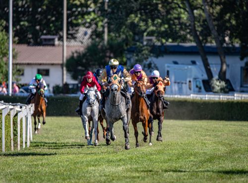 Free Exciting horse racing scene capturing speed and motion at a vibrant event. Stock Photo