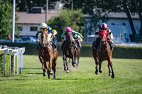 Horse racing betting
