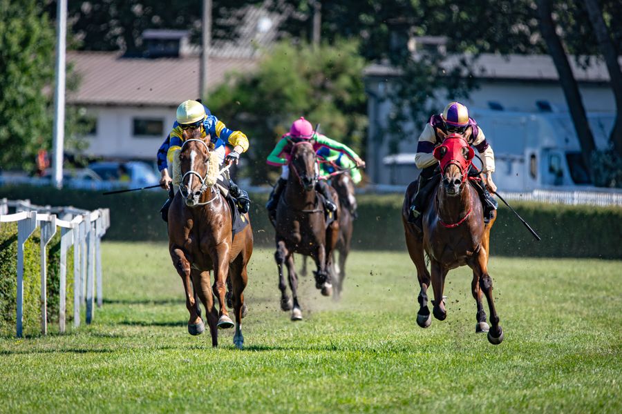 Jockeys horse racing