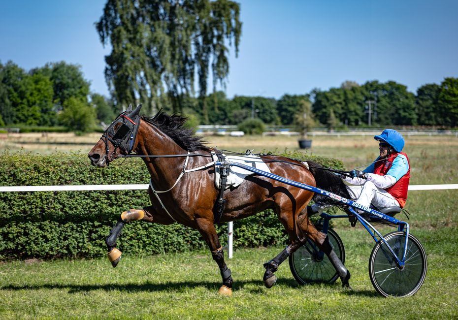 Introduktion till internationella bettingsajter och deras betydelse